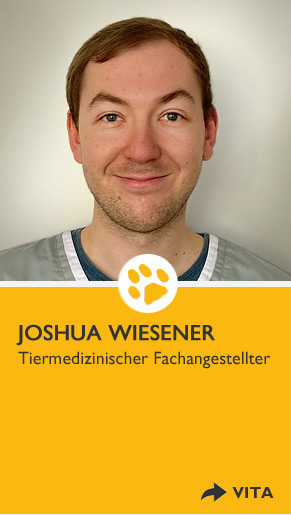 Joshua Wiesener